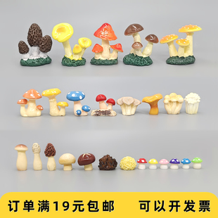 仿真树脂小蘑菇香菇金针菇模型摆件微景观水族造景装饰满19元包邮