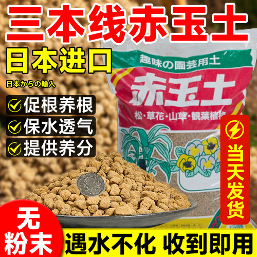进口硬质三本线赤玉土多肉盆景专用铺面颗粒营养土土壤种植泥炭土