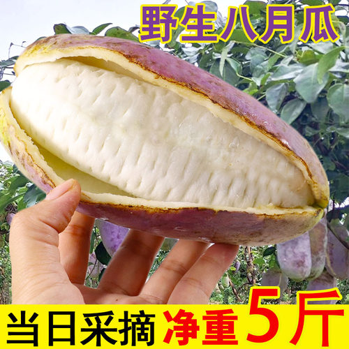 贵州新鲜八月瓜 八月炸八月瓜水果5斤 网红甜瓜八月炸 野生八月炸
