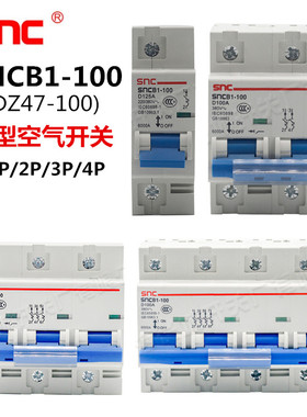 上海长城SNCB1-125 DZ47-100  1P/2P/3P/4P 100A空气开关断路器