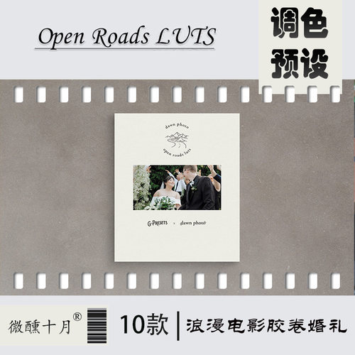 浪漫电影胶卷婚礼母婴人像摄影LUTS预设调色PR滤镜 Open Roads