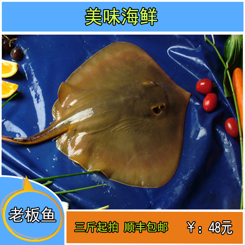 海南三亚现捕深海鲜活水产老板鱼比目鱼鳐鱼包邮热卖促销年货礼包