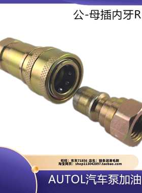 AUTOL车载泵加油嘴转换头快速接头 自锁式快插快装快换内2分牙
