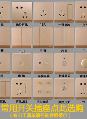 86型大板金香槟金五孔一开单双控开关USB16A电脑全屋套餐开关插座