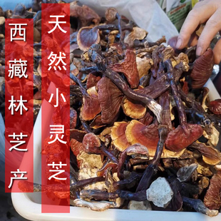 西藏林芝林下小灵芝正品干货赤芝金边白肉灵芝瑞草整枝100g克