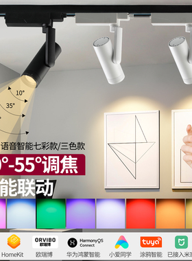 智能调光调色七彩led轨道射灯homekit已接入米家涂鸦客厅照画调焦