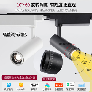 智能led轨道灯射灯homekit已接入米家涂鸦调光调色调焦美术馆照画