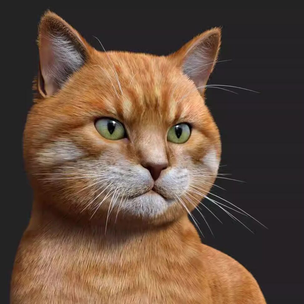 daz3D 动物可爱猫咪体型 Cat Zeus  [IM]