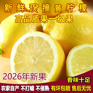 安岳黄柠檬新鲜现摘皮薄多汁一级果不打蜡5斤装非广东香水青柠檬