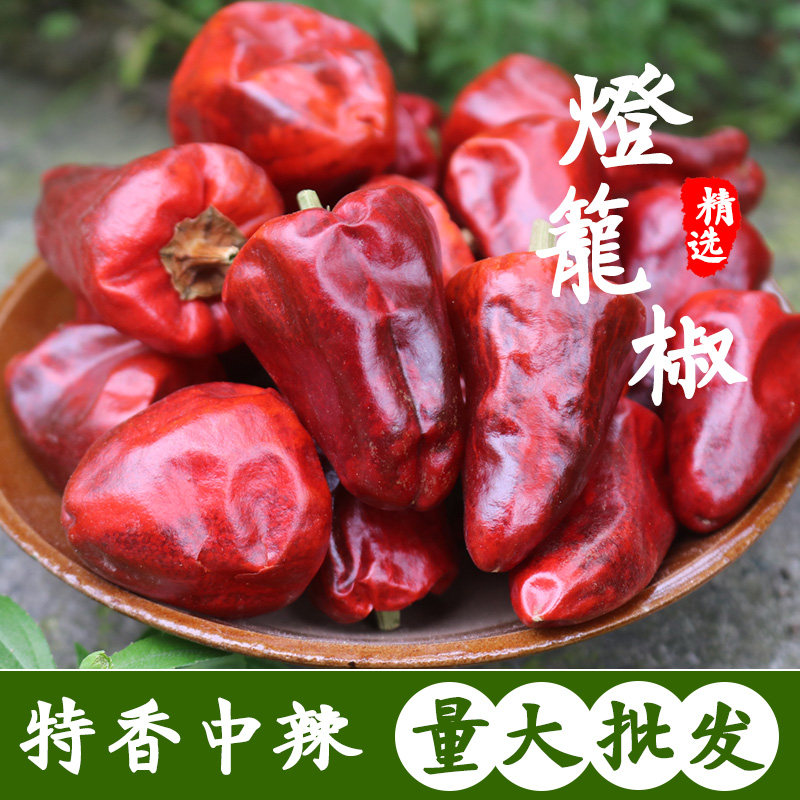 正宗四川灯笼椒500g中辣超香圆干辣椒海椒 干锅火锅炒菜调味佐料
