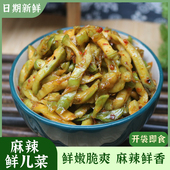 麻辣鲜儿菜新鲜青菜头农家自制咸菜下饭菜儿菜大头菜干菱角榨菜