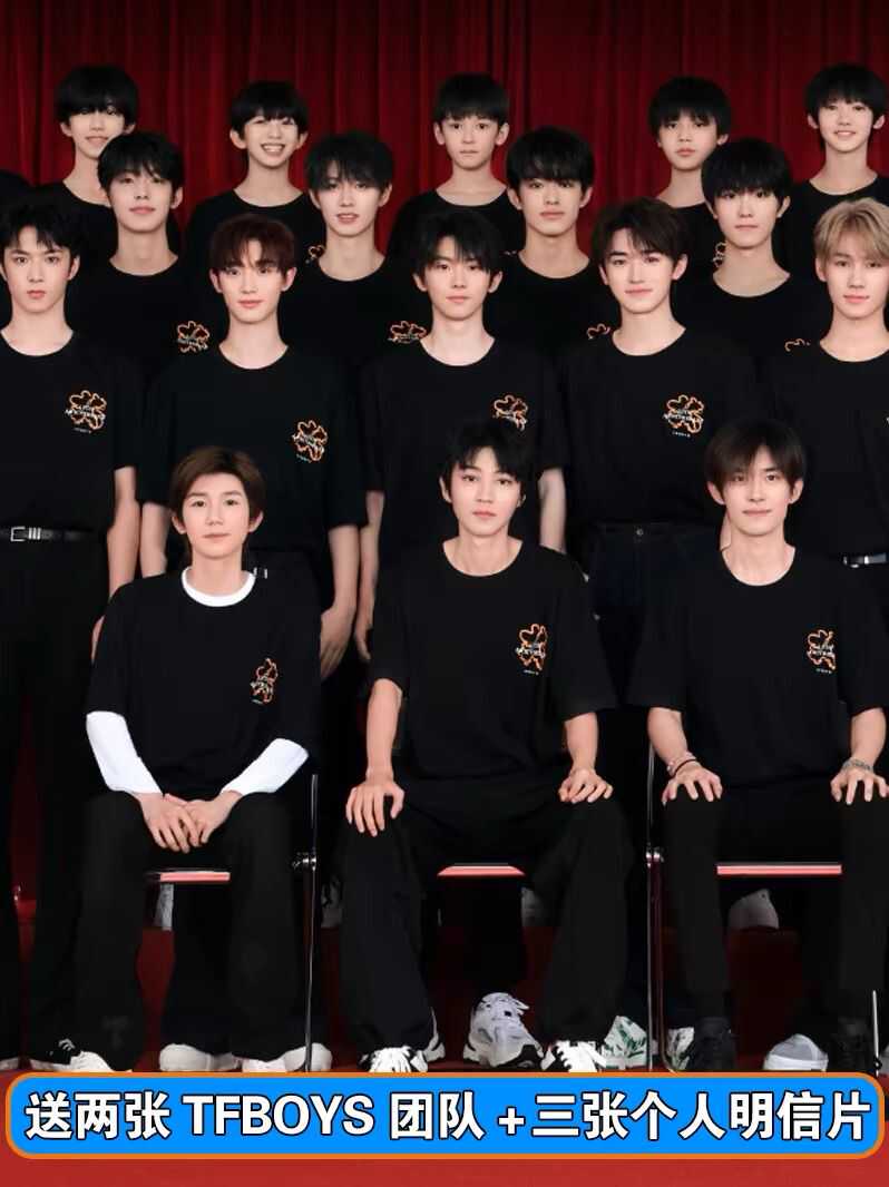 TFBOYS王俊凯易烊千玺王源同款奔赴十周年短袖T恤四叶草应援衣服