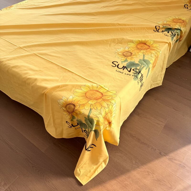 特价清仓！外贸冬季100%全棉磨毛床单单件纯棉全棉加厚双人睡单