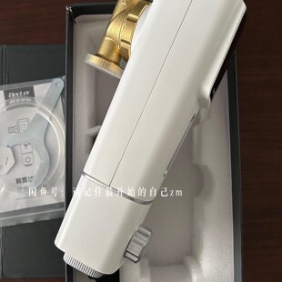 全新BKA同款s10w德奎里尔自动反冲洗前置过滤器全屋中央净议价