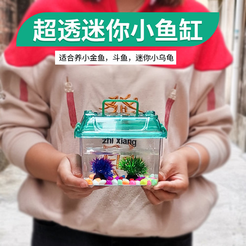 塑料手提式便携小乌龟龟养鱼缸鱼