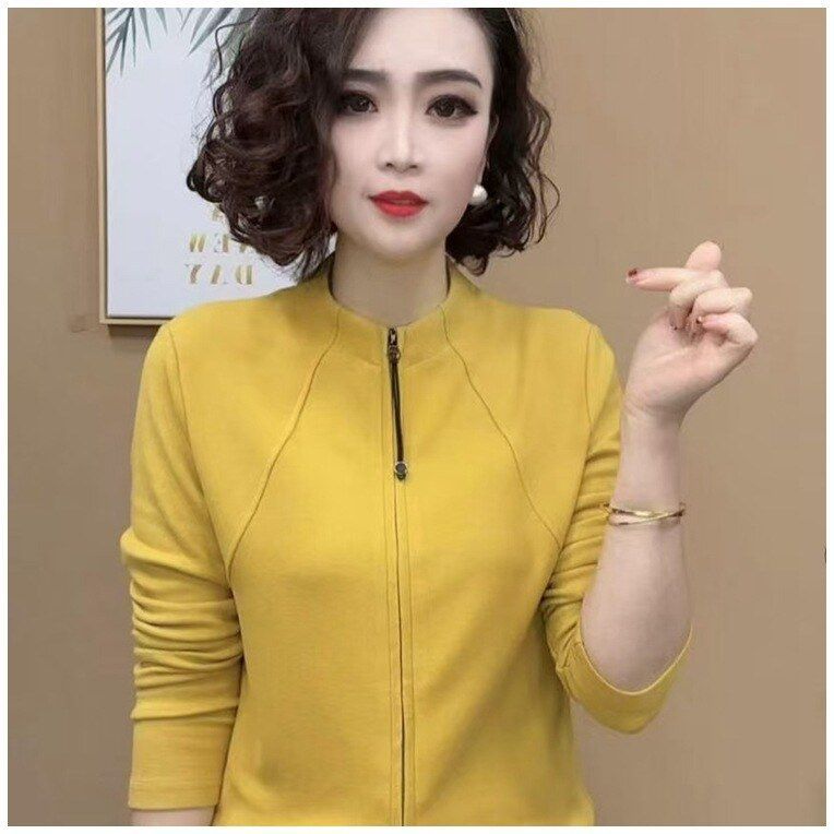 一件代发 新款时尚气质拉链加厚上衣长袖减龄一体绒打底女士小衫
