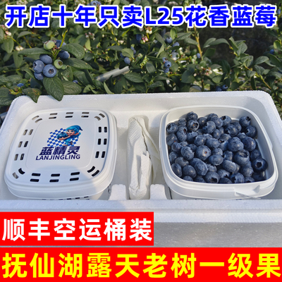 只卖澄江抚仙湖L25花香蓝莓的店