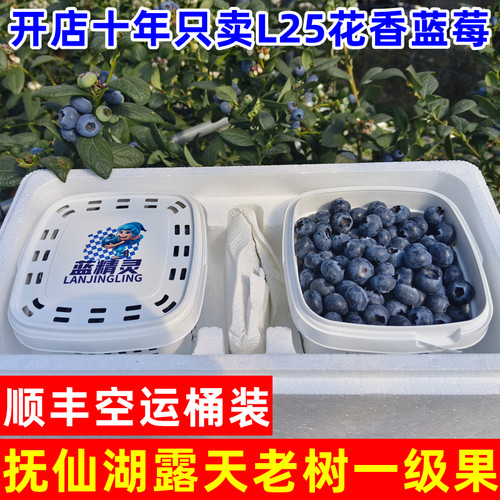 只卖澄江抚仙湖L25花香蓝莓的店