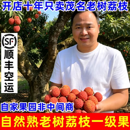 一家只卖茂名高州老树荔枝的老店