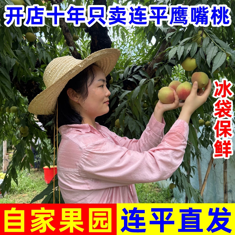 正宗广东河源连平上坪鹰嘴蜜桃脆甜新鲜水果桃子水蜜毛桃产地直发