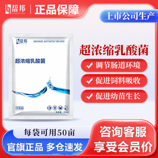 帮邦水产超浓乳酸菌水产乳酸菌菌种发酵粉超浓缩调水净水泼洒拌料