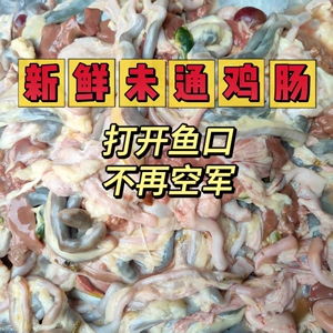 新鲜未通鸡肠超浓腥钓螃蟹钓鱼黄鳝赤眼鱼鳟虾笼饵料台钓饵