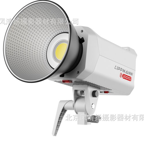 雷普曼（LIPPMANN）FF300XS团播补光灯 直播led摄影灯户外拍照