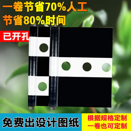 【支持定制打孔】白色地膜保温保湿打孔地膜农用薄膜免手抠孔
