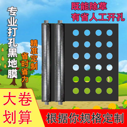 【黑色地膜免费打孔】带孔免打孔地膜黑色农用耐用洋葱圆孔种植膜
