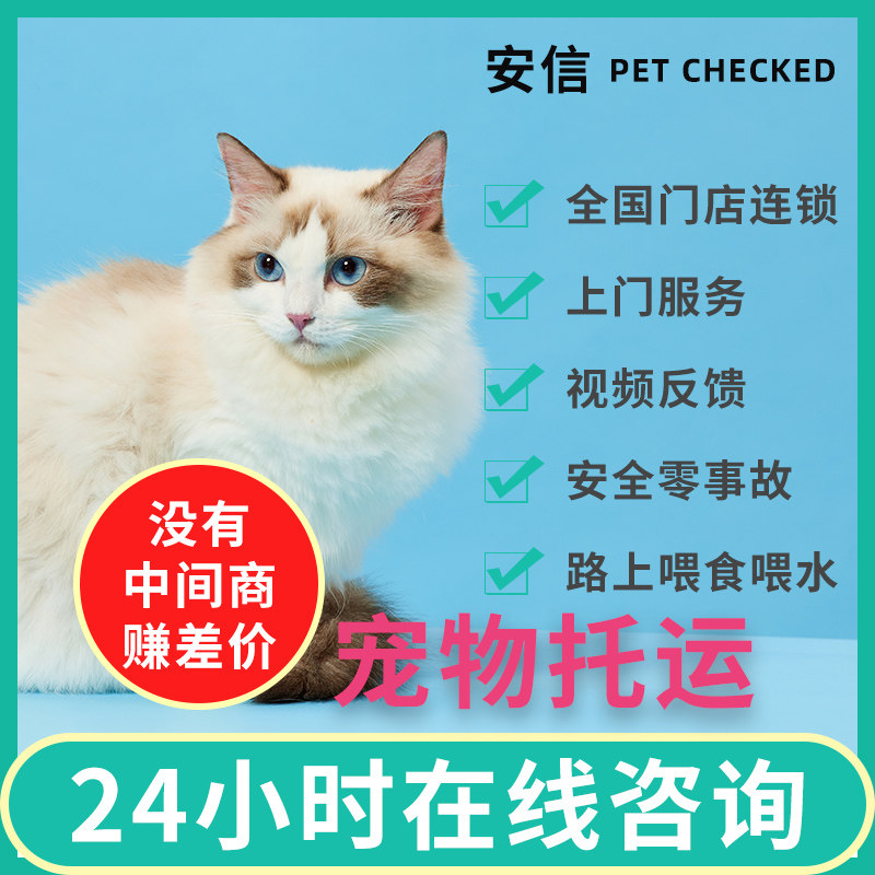宠物托运服务全国空运防疫证检疫证明航空随机猫咪狗狗顺风车运输