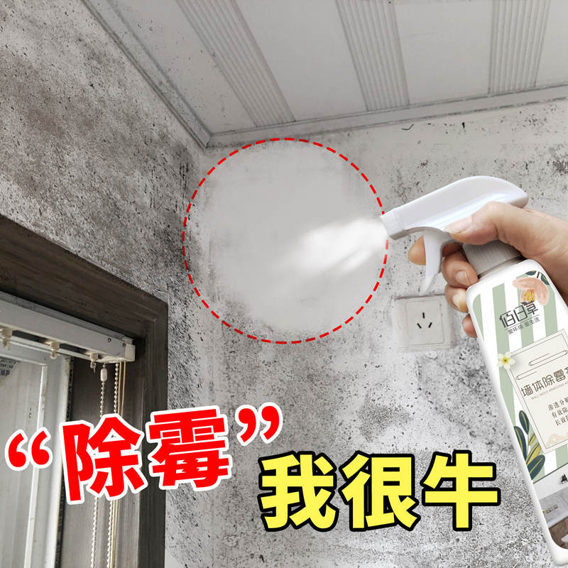 除霉剂墙体墙面白墙去霉斑霉点家用防霉剂墙壁去污墙纸霉菌清除剂