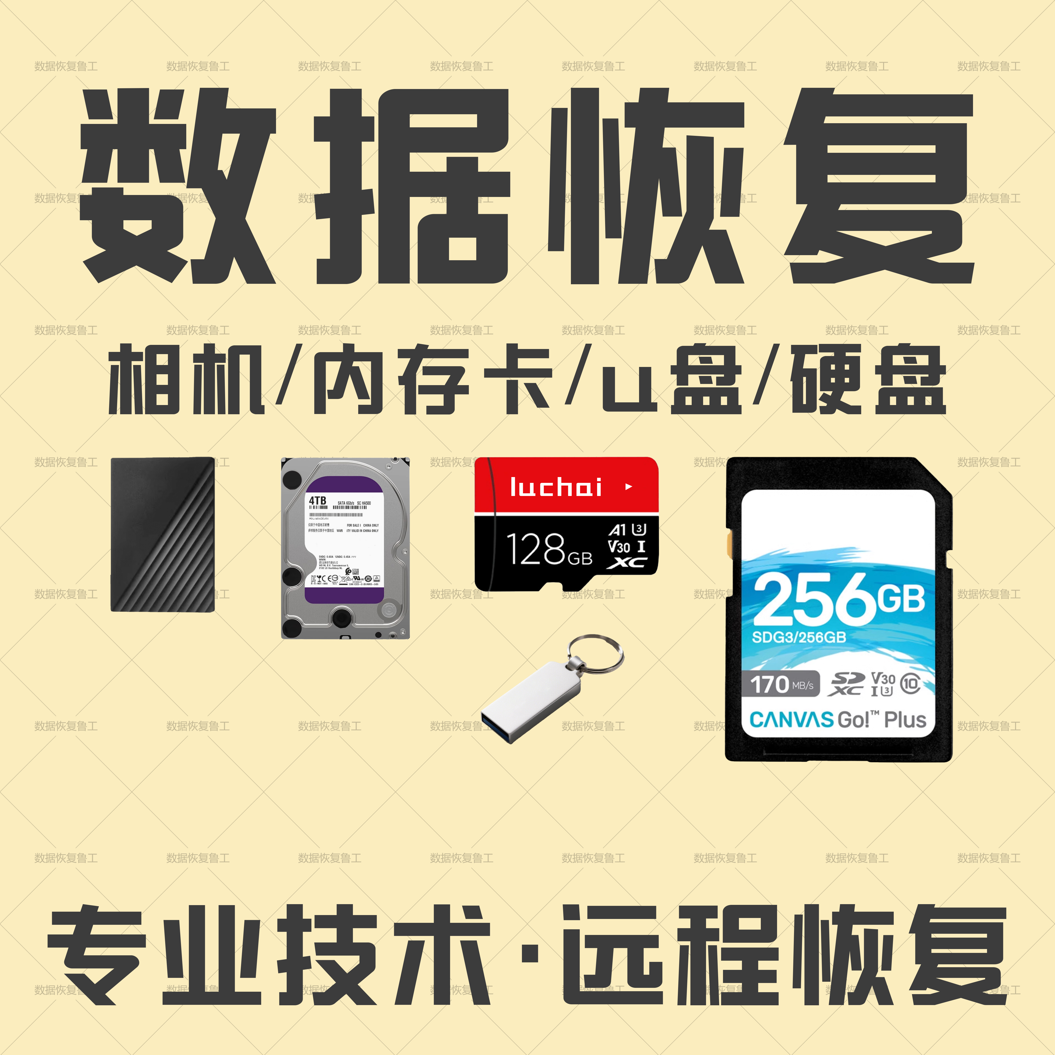 电脑数据恢复相机u盘硬盘内存卡sd卡照片视频文档误删格式化恢复