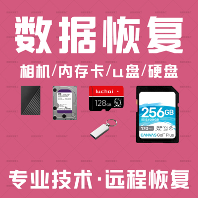 电脑数据恢复相机u盘硬盘内存卡sd卡照片视频文档误删格式化恢复