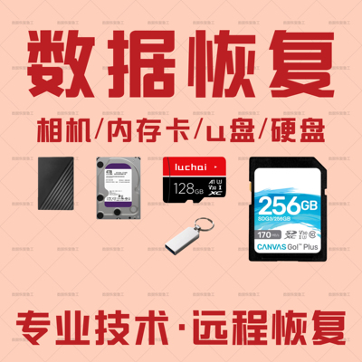 电脑数据恢复相机u盘硬盘内存卡sd卡照片视频文档误删格式化恢复