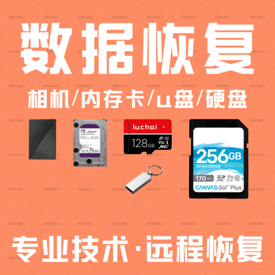 电脑数据恢复相机u盘硬盘内存卡sd卡照片视频文档误删格式化恢复