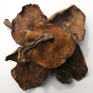 特产野生松蘑菇沂蒙山香菇干货粘团子山蛾子炖鸡好吃便宜美味绿色