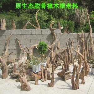 原生态脱骨红香樟木根料，风化木根雕 手工艺品木料 雕刻毛料摆件