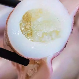 东山岛本港带籽母管 灯光笔管鱼 活冻小管鱿鱼400g