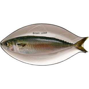 东山岛生态养殖青花鱼 鲭鱼 日本鲭 花仙鱼碳烤干煎刺身 冰鲜发货