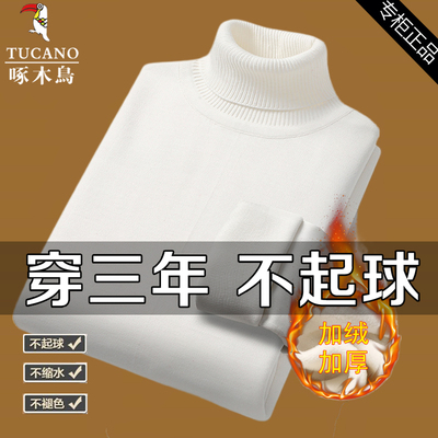 啄木鸟纯色加绒高领毛衣男内搭