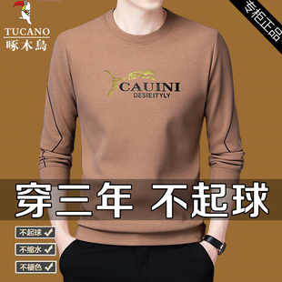 加绒打底衫 啄木鸟男士 韩版 t恤圆领棉感卫衣秋冬装 宽松男上衣T 长袖