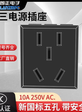 LANZMFG朗正/LZ-F-T9新国标五孔电源插座，带保护门，全铜