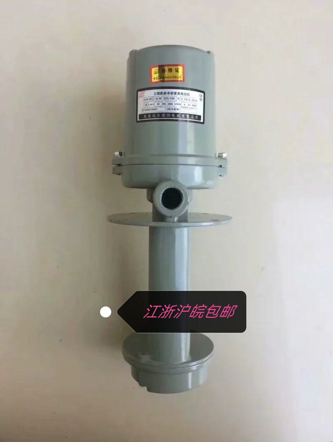 AYB25（TH，G）南通遠(yuǎn)東微特（海日機(jī)電）俊特泵   125W