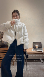 欧洲站2025冬季新款设计师款刺绣桑蚕丝提花立领短款羽绒服外套女