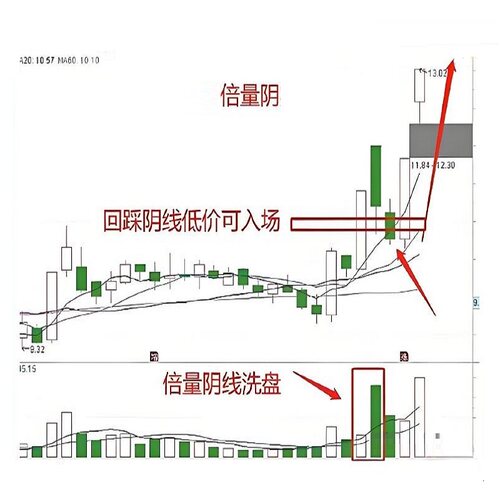 缩倍量阴短线擒牛股战法指标公式