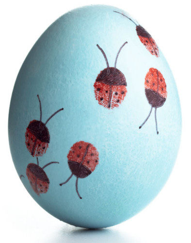 幼儿园手工美劳材料白模上色涂色填色指纹指印画印泥彩绘泡沫蛋,玩具/童车/益智/积木/模型,白模填色/模具彩绘/石膏娃娃,淘宝优惠券,粉丝福利购,淘宝优惠卷