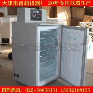 25度低温箱 冻鱼 立式 60度 试验箱 50度 25度 低温箱 40度