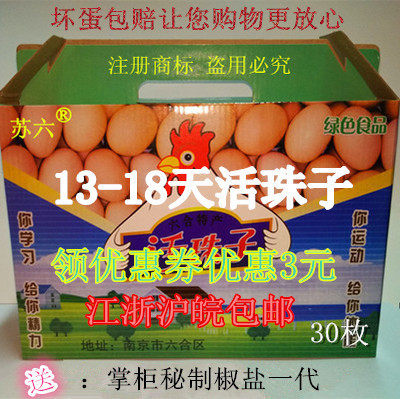 13天1516天18天全鸡苏六毛鸡蛋