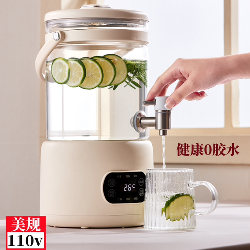 110V伏养生壶家用3升大容量电热煮茶器花茶桶带出水口台湾烧水壶
