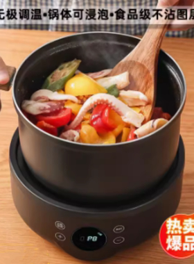 110v电煮锅多功能一体锅家用小型分体式宿舍锅学生煮面火锅办公室